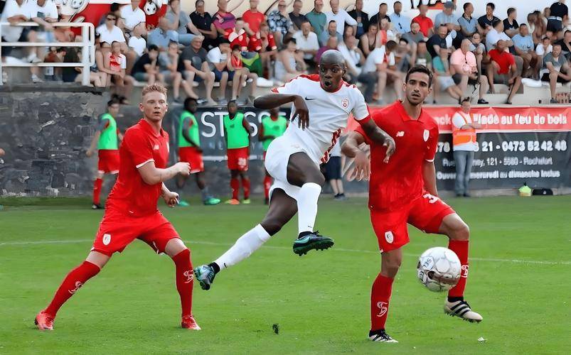 包含夏洛特黄蜂内部会议纪要流出：集结日临场应变，荷甲使命明确，球队文化再被提及的词条